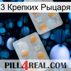 3 Крепких Рыцаря 25